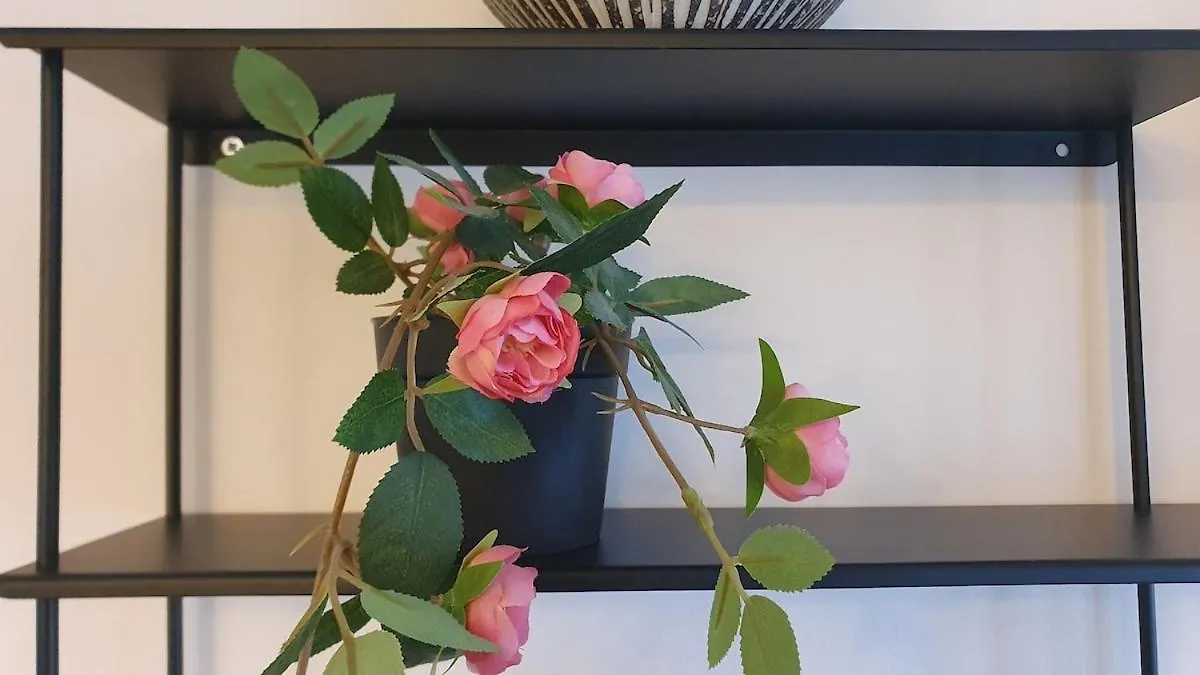 Entire Apartment Near Arlanda Airport Stockholm Marsta 0*,  Sweden